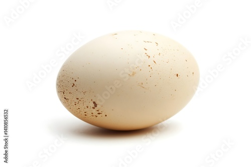 Obraz na płótnie A single white egg, isolated on a white background, perfect for simple yet elegant food photography w salonie