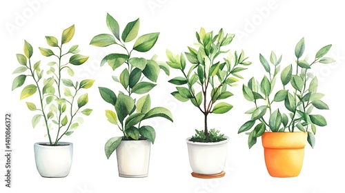 Obraz na płótnie Hand-painted watercolor of house plants such as laurel, ficus, and tangerine tree, isolated on a white background for home decor inspiration. w salonie