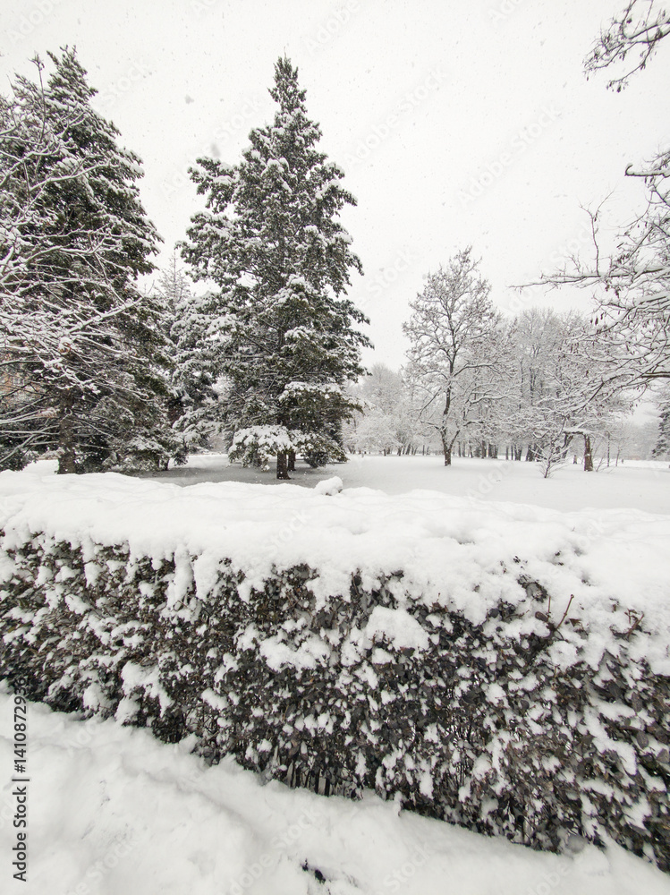 Winter Landscape of South Park in city of Sofia, Bulgaria
