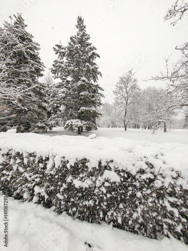 Obraz na płótnie Winter Landscape of South Park in city of Sofia, Bulgaria w salonie