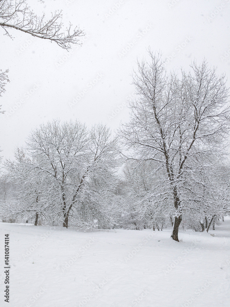 Winter Landscape of South Park in city of Sofia, Bulgaria
