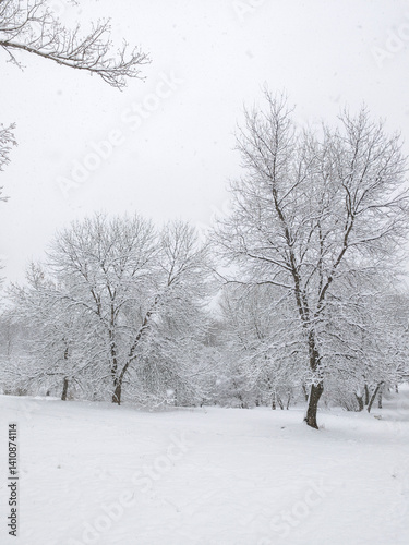 Obraz na płótnie Winter Landscape of South Park in city of Sofia, Bulgaria w salonie
