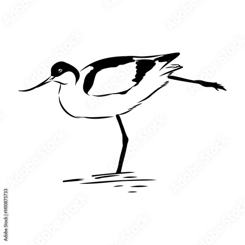 sandpiper on the beach vector illustration
