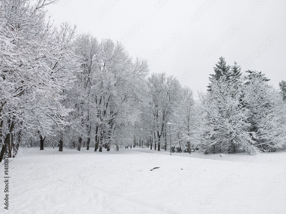 Winter Landscape of South Park in city of Sofia, Bulgaria