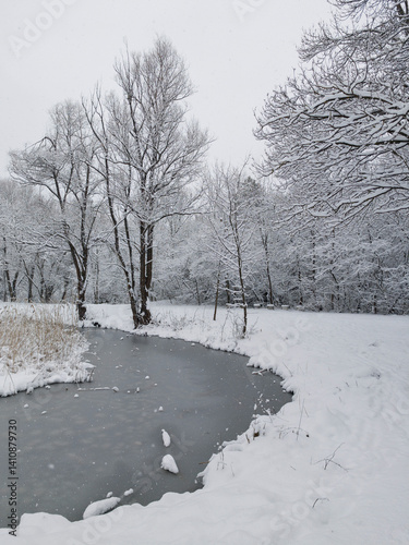 Obraz na płótnie Winter Landscape of South Park in city of Sofia, Bulgaria w salonie