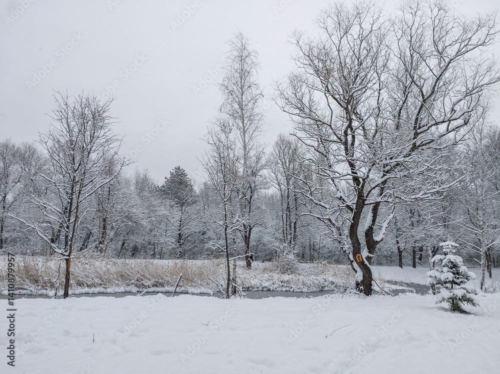 Winter Landscape of South Park in city of Sofia, Bulgaria
