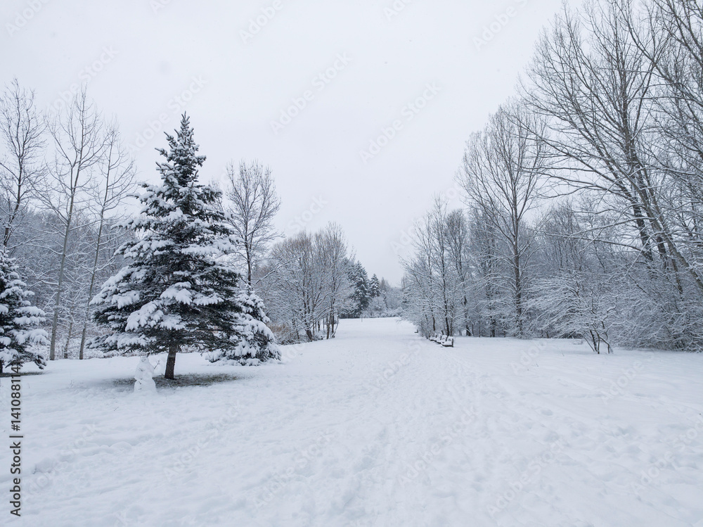 Winter Landscape of South Park in city of Sofia, Bulgaria