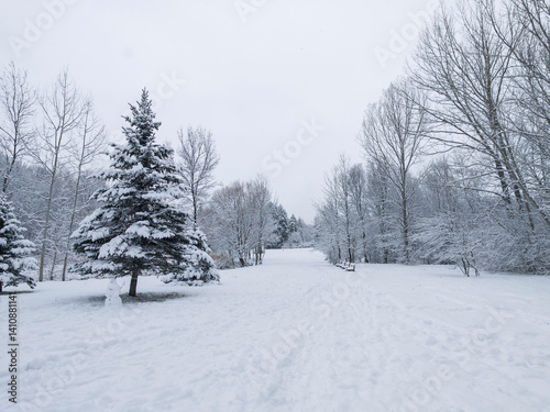 Obraz na płótnie Winter Landscape of South Park in city of Sofia, Bulgaria w salonie