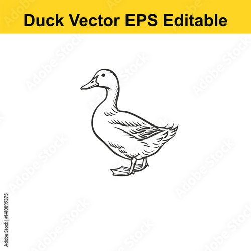 Duck Vector drawing sketch silhouette