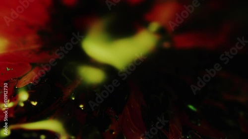 Fruit, Cut section, Pulp, Juice, Colorful, Inkdrop, Light and dark, Color lighting, Lighting change, C-UP, Camera movement, HS