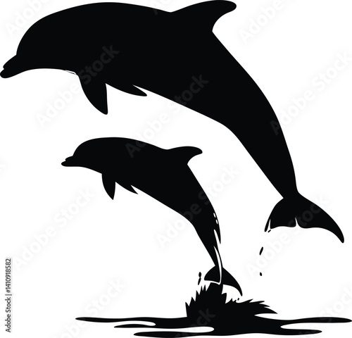 Dolphin Duet: A Graceful Aerial Leap