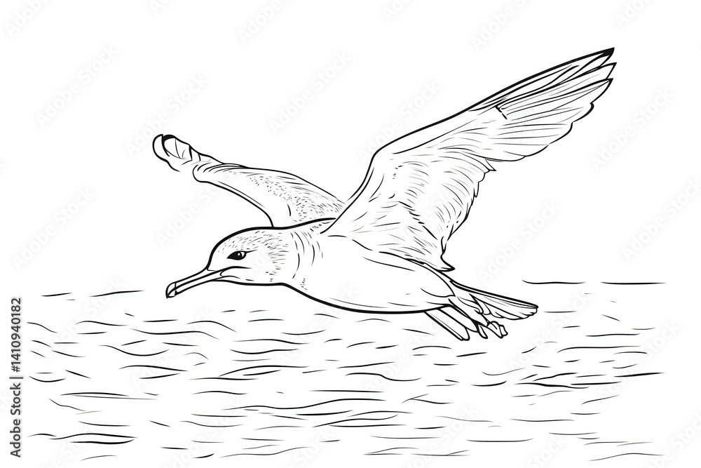 Bird in flight sketch grayscale wildlife art