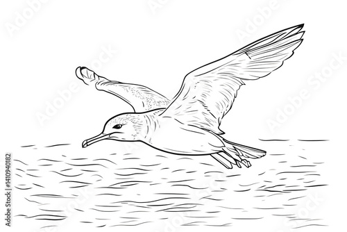 Obraz na płótnie Bird in flight sketch grayscale wildlife art w salonie