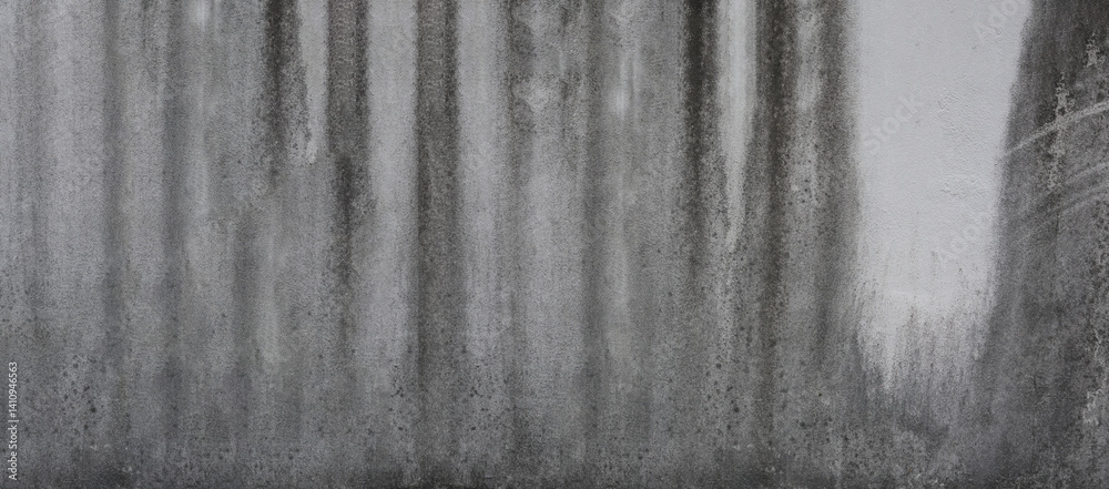 Ethereal Forest Background with Soft Focus Effect, Capturing a Dreamy and Mysterious Atmosphere in Shades of Gray for Creative Use and Inspiration