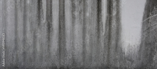 Obraz na płótnie Ethereal Forest Background with Soft Focus Effect, Capturing a Dreamy and Mysterious Atmosphere in Shades of Gray for Creative Use and Inspiration w salonie