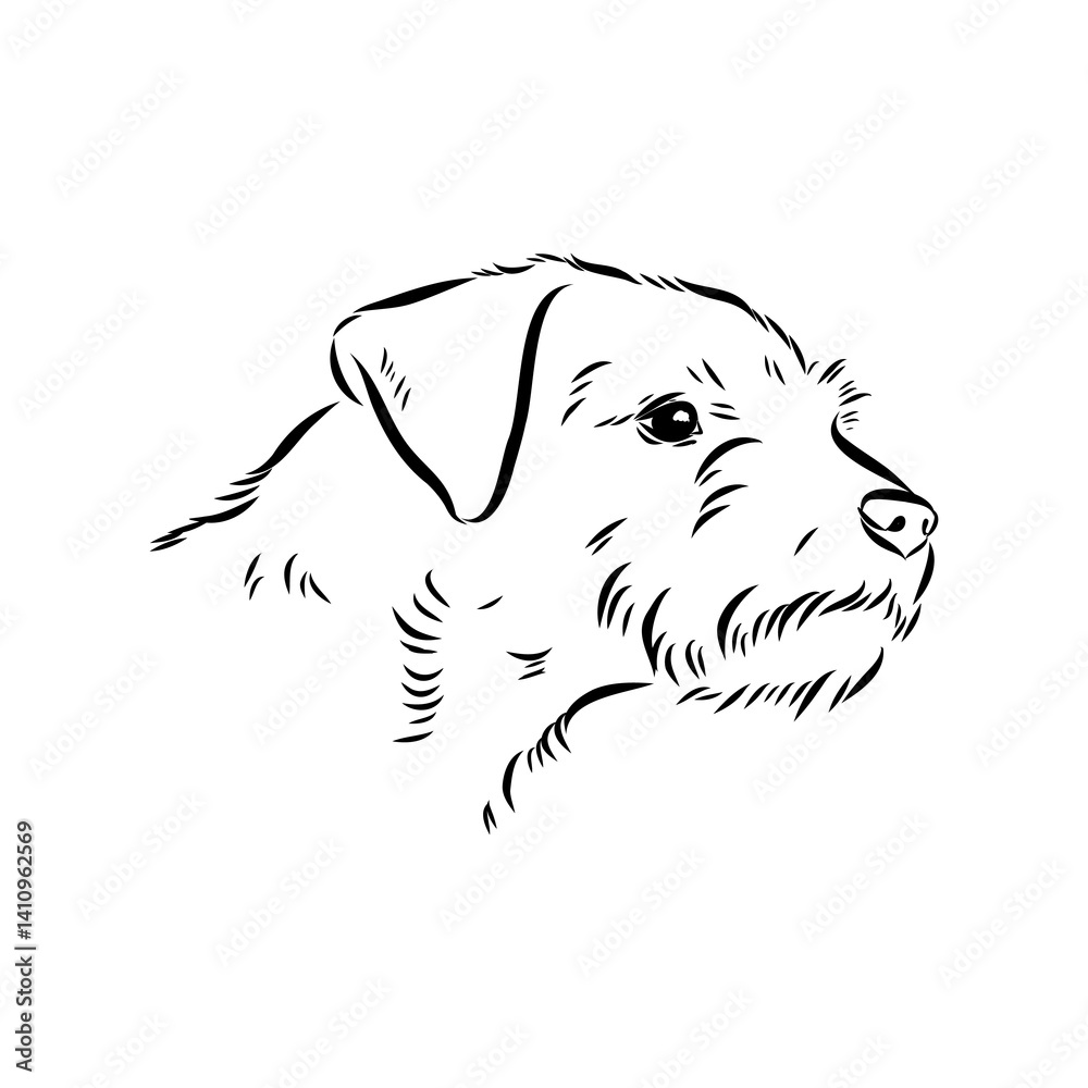 Fototapeta premium Border Terrier, dog head, vector illustration, black color, vector image