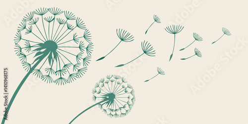 Elegant Dandelion Seed Head Illustration Nature's Ephemeral Beauty