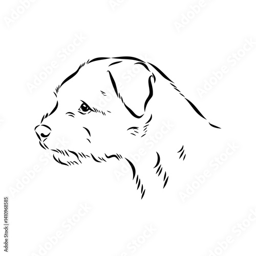 Border Terrier, dog head, vector illustration, black color, vector image