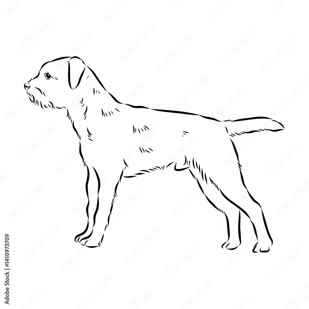 Fototapeta premium Border Terrier, dog head, vector illustration, black color, vector image