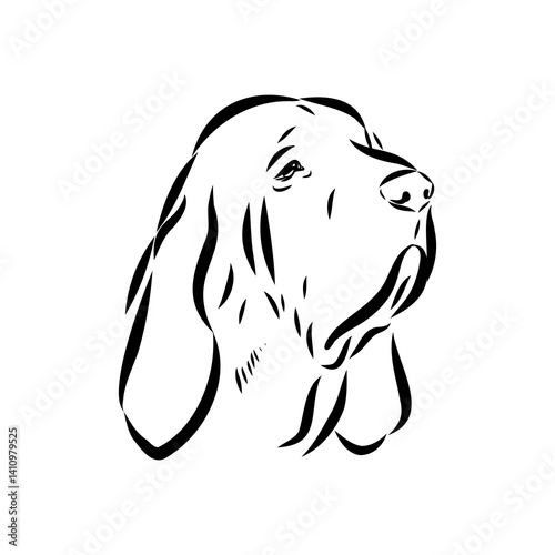 Decorative portrait in profile of dog Bloodhound