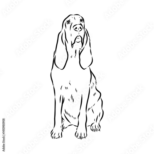 Decorative portrait in profile of dog Bloodhound