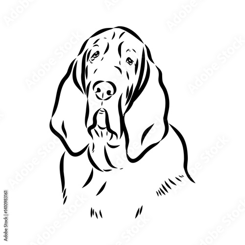 Decorative portrait in profile of dog Bloodhound