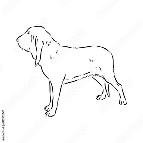 Decorative portrait in profile of dog Bloodhound