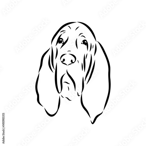 Decorative portrait in profile of dog Bloodhound