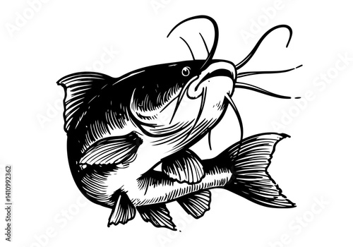 catfish hand drawn sketch illustration vector