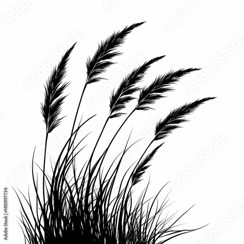 Grass Silhouette Vector Illustration. Black and White Nature Design with Pampas Grass and Reeds for Eco-Friendly Decor