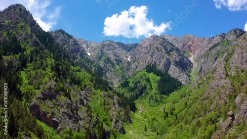 Stunning 4K drone video shows a deep mountain gorge, likely in the San Juan Mountains of southwestern Colorado, with rugged cliffs and alpine vegetation.