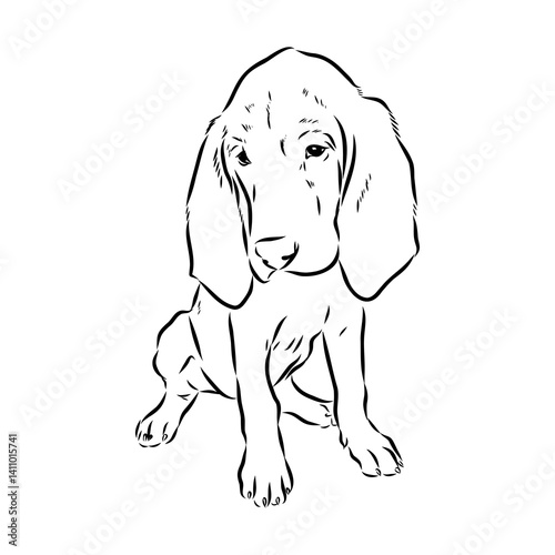 Decorative portrait in profile of dog Bloodhound