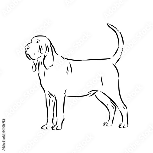 Decorative portrait in profile of dog Bloodhound
