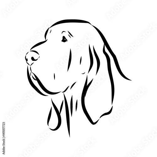 Decorative portrait in profile of dog Bloodhound