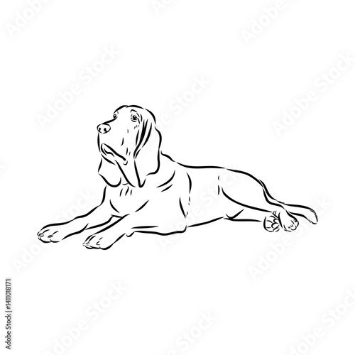 Decorative portrait in profile of dog Bloodhound
