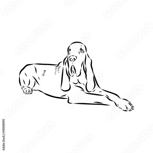 Decorative portrait in profile of dog Bloodhound