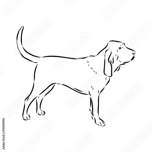 Decorative portrait in profile of dog Bloodhound