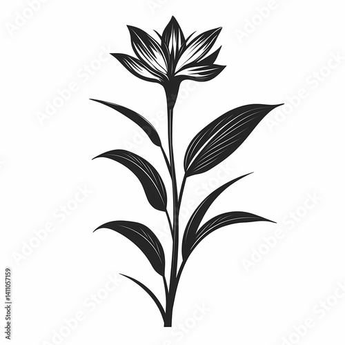 Elegant Botanical Black and White Flower Silhouette: Minimalist Monochrome Floral Art Design