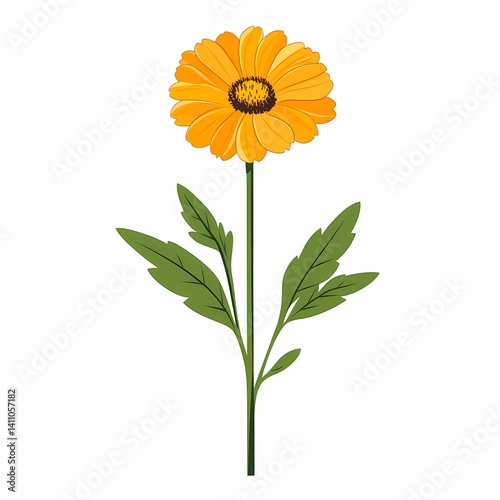 Yellow Flower Botanical Illustration: Vibrant Floral Design for Garden Enthusiasts in Spring & Summer Seasons