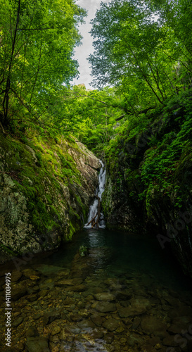 Obraz na płótnie Tall Cedar Run Falls Drops Below Rocks into Pool w salonie