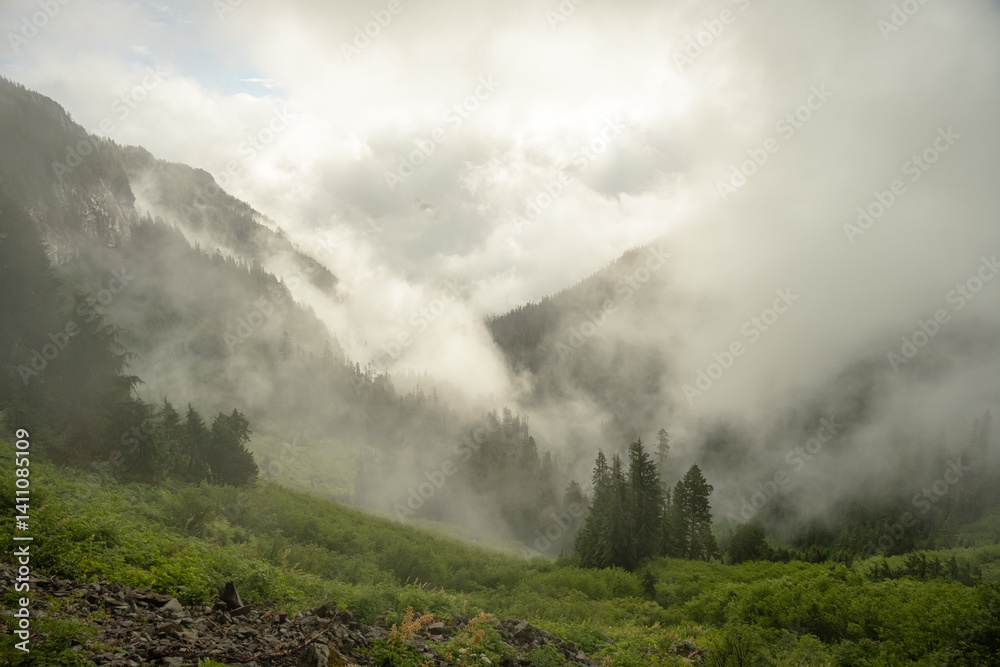 Thick Fog Hangs In The Valley Below Ipsut Pass