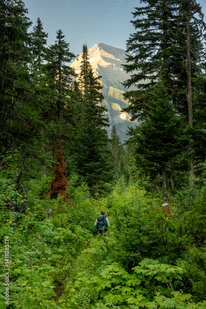 Thick Bushes Engulf Backpacker Along The Bowman Lake Trail Below Mount Carter In Glacier