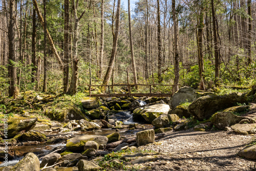 Tree Trunk Bridge Over Cosby Creek In Great Smoky Mountains
