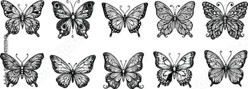 set of butterflies, ink drawing, hand drawn vector illustration