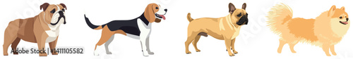 Colorful illustrated diverse dog breeds, element vector set