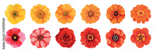 Colorful floral variety display, element vector set