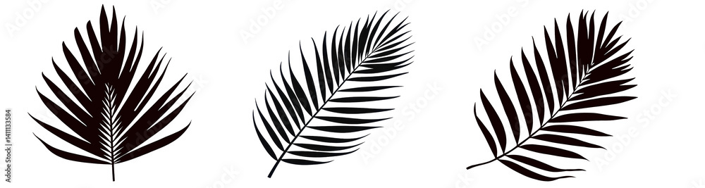 Fototapeta premium Palm tree leaf black silhouette set, cut out