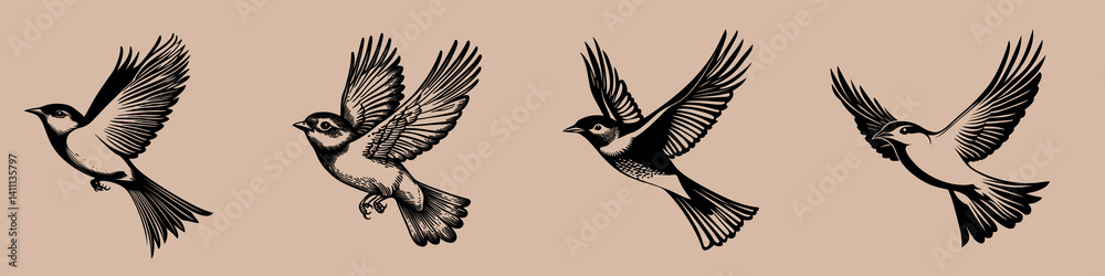 Obraz premium Vintage bird illustrations in flight, isolated element set vector