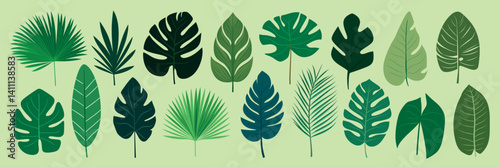 Tropical leaves vector illustration, isolated vector set