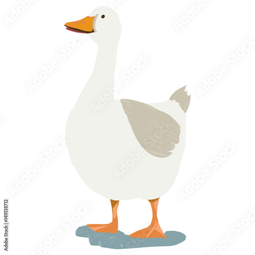 Cute goose illustration animal bird duck vector
